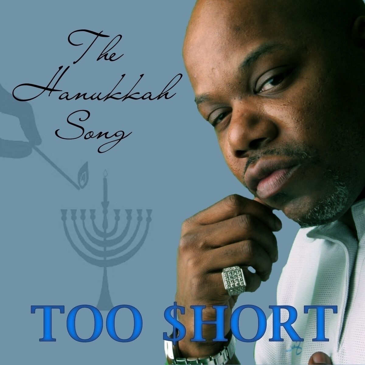 Album cover of The Hanukkah Song