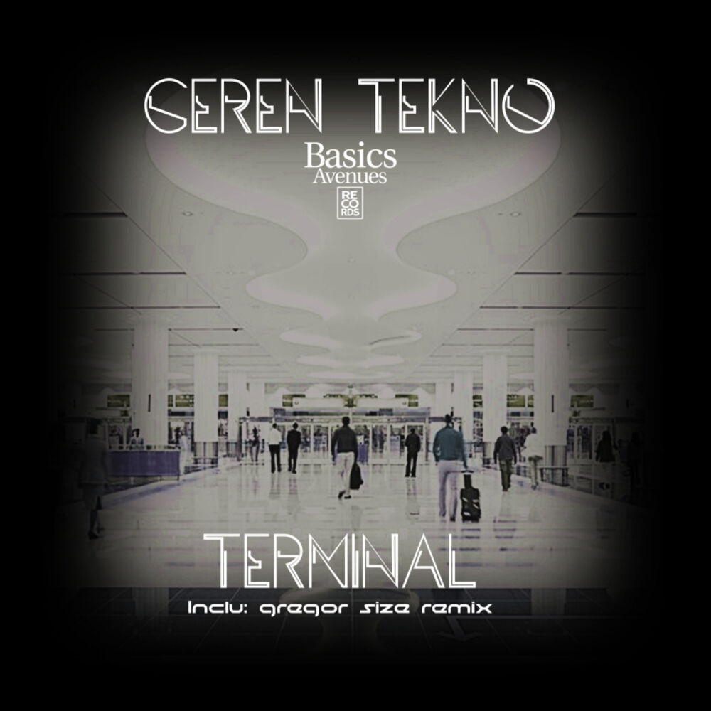 Picture of Terminal