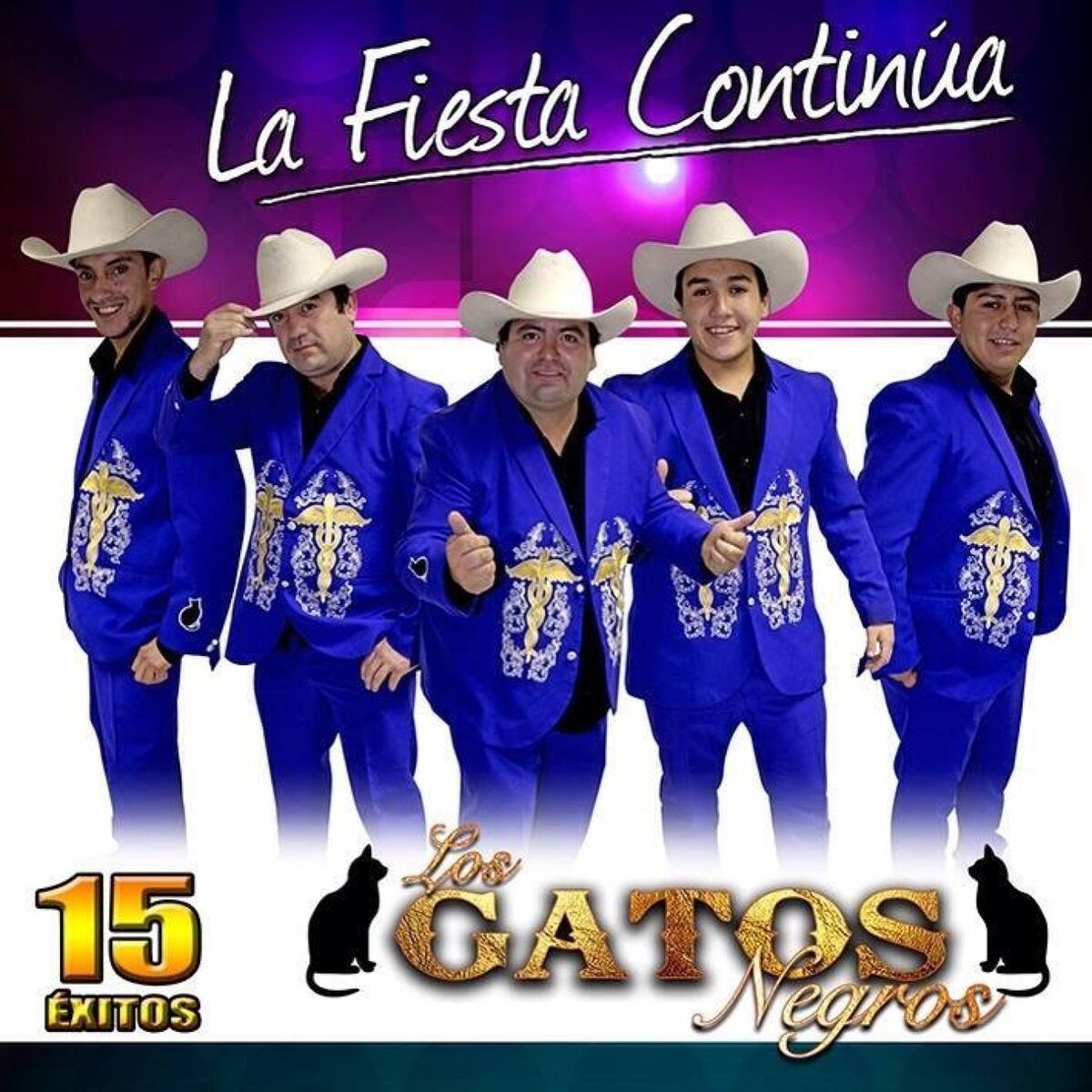 Album cover of La Fiesta Continúa - 15 Éxitos
