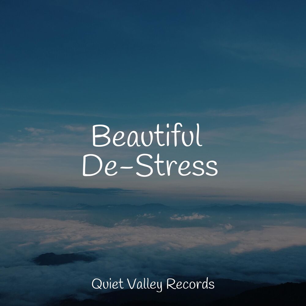 Picture of Beautiful De-Stress