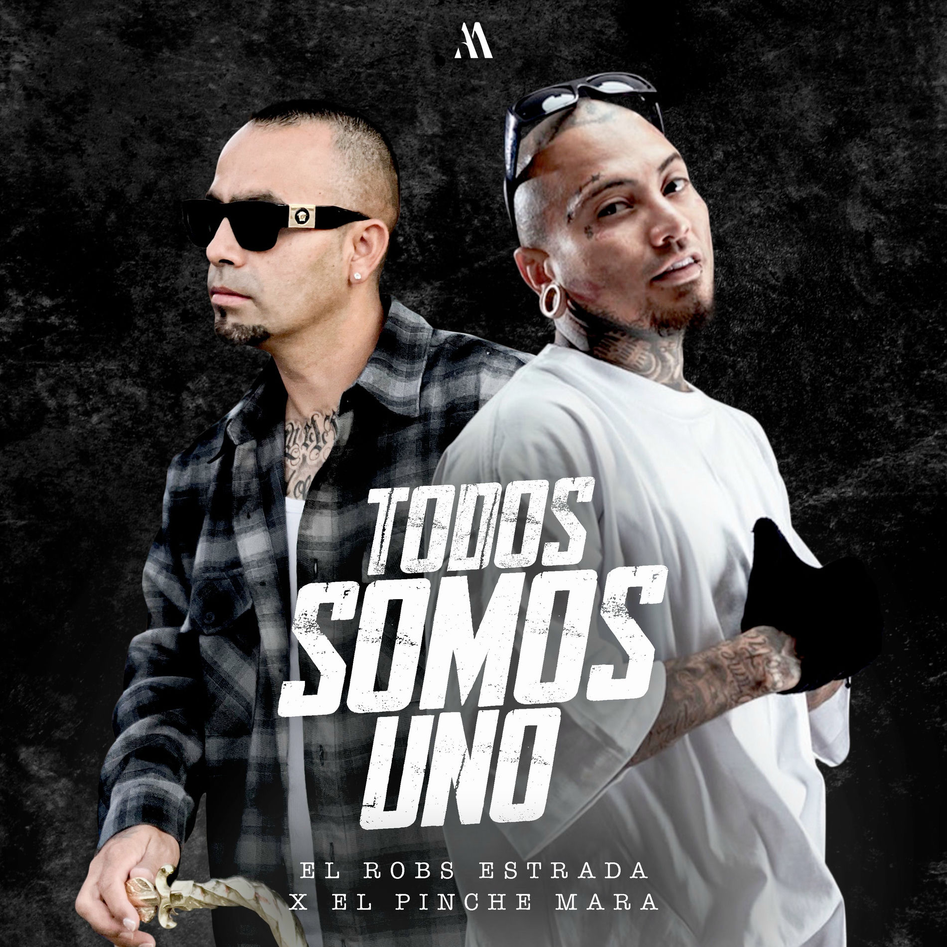 Album cover of Todos Somos Uno