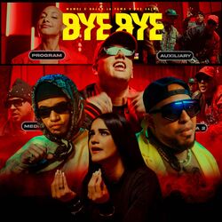 Cover of BYE BYE