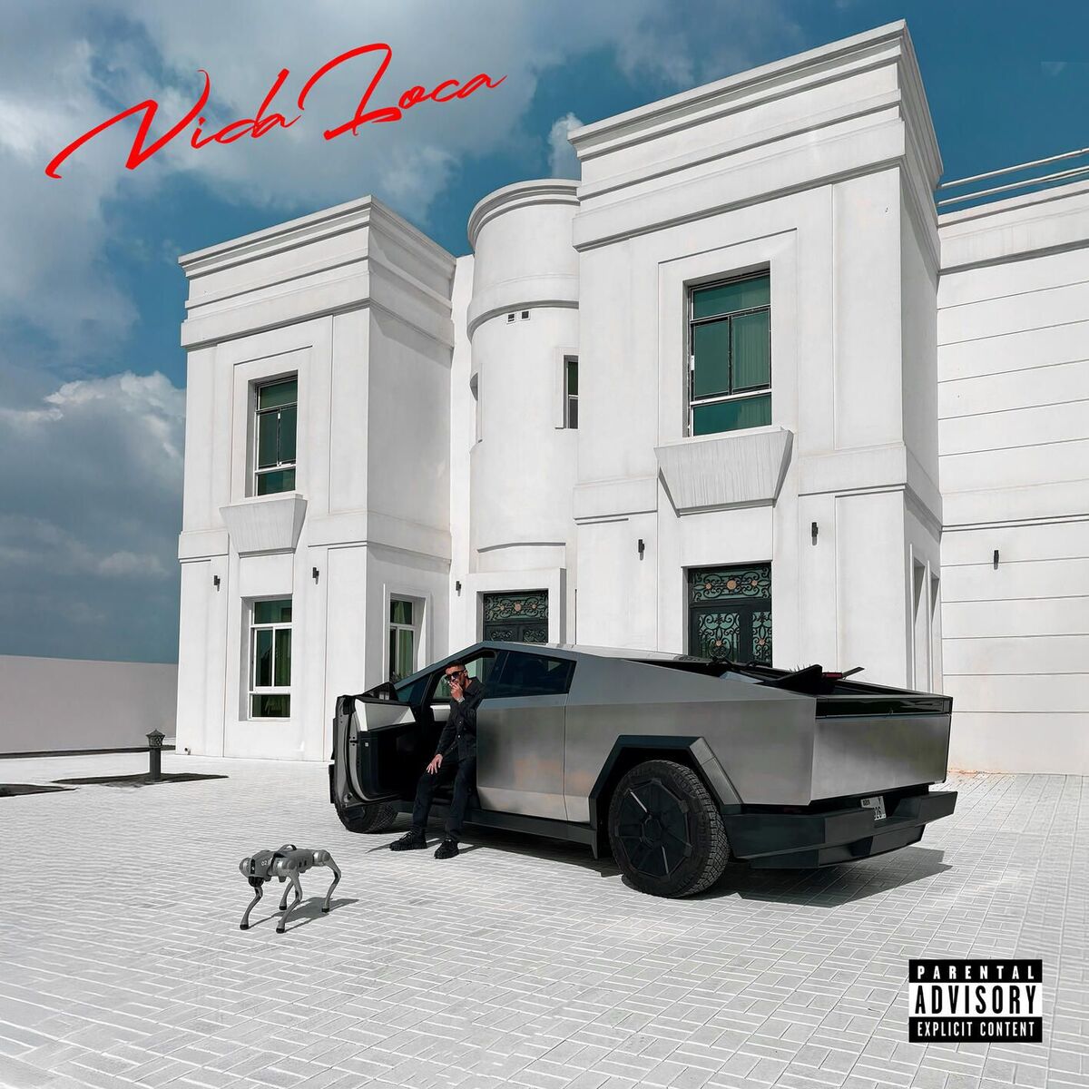 Album cover of Vida loca