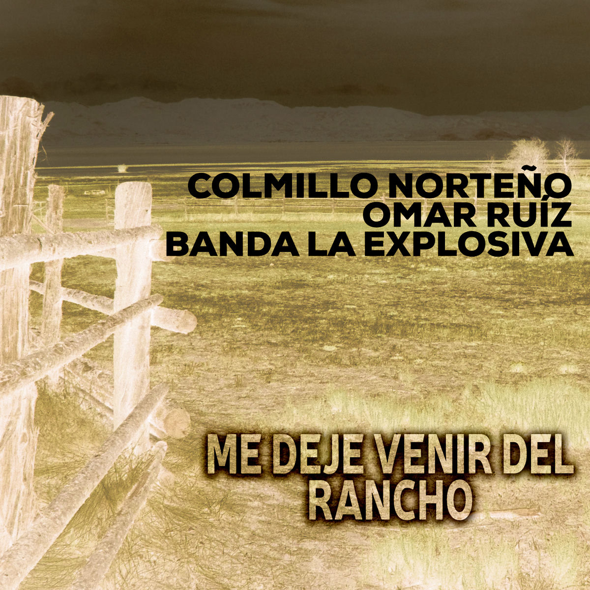 Album cover of Me Dejé Venir del Rancho (En Vivo)
