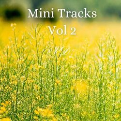Cover of Mini Tracks, Vol. 2