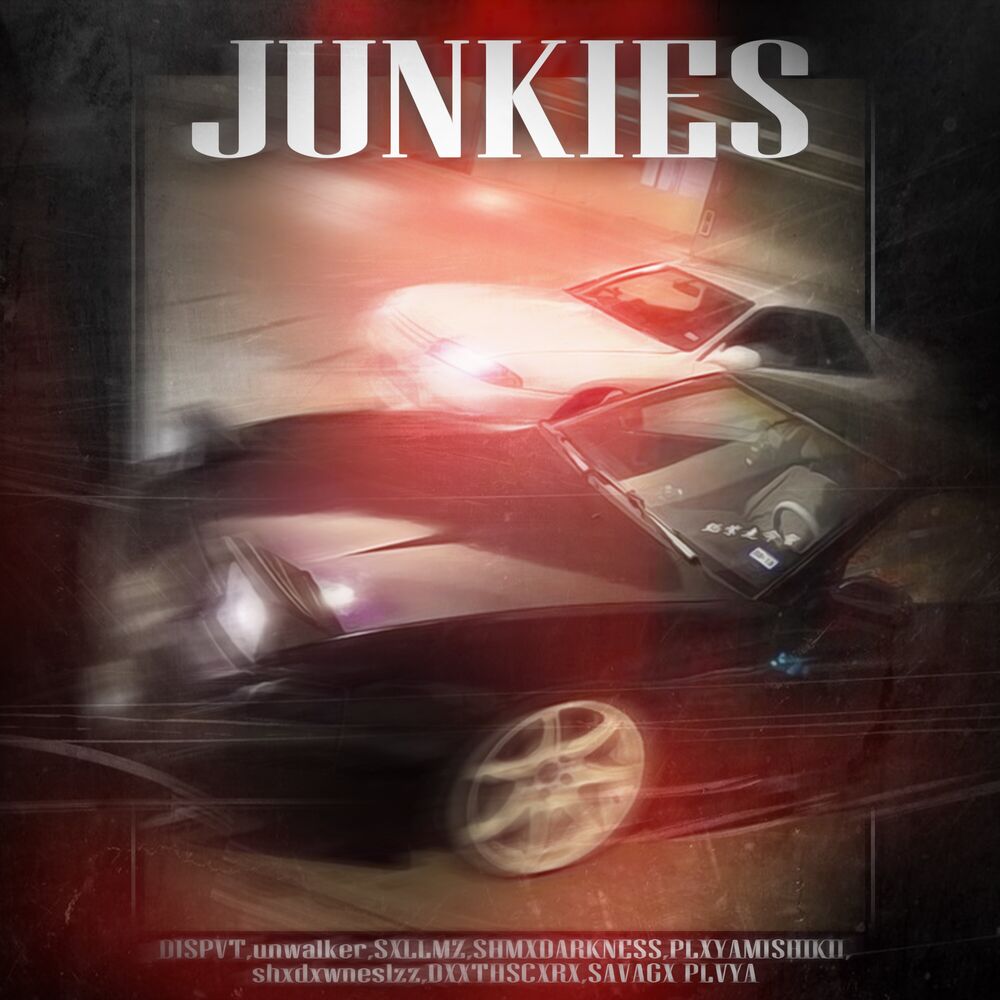 Picture of JUNKIES