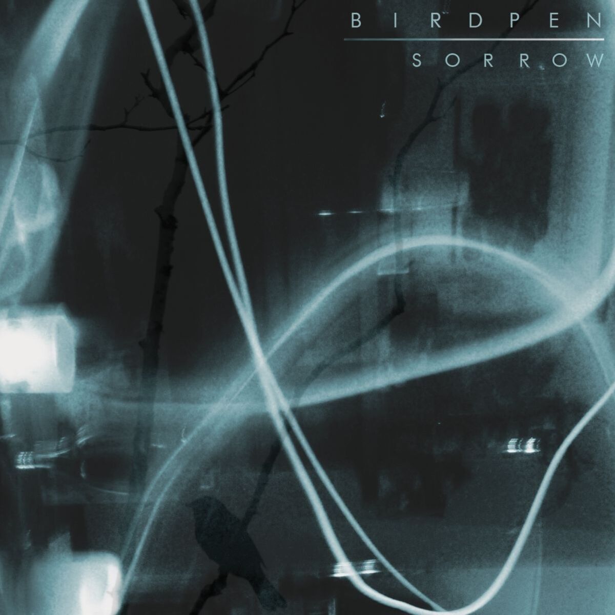 Album cover of Sorrow