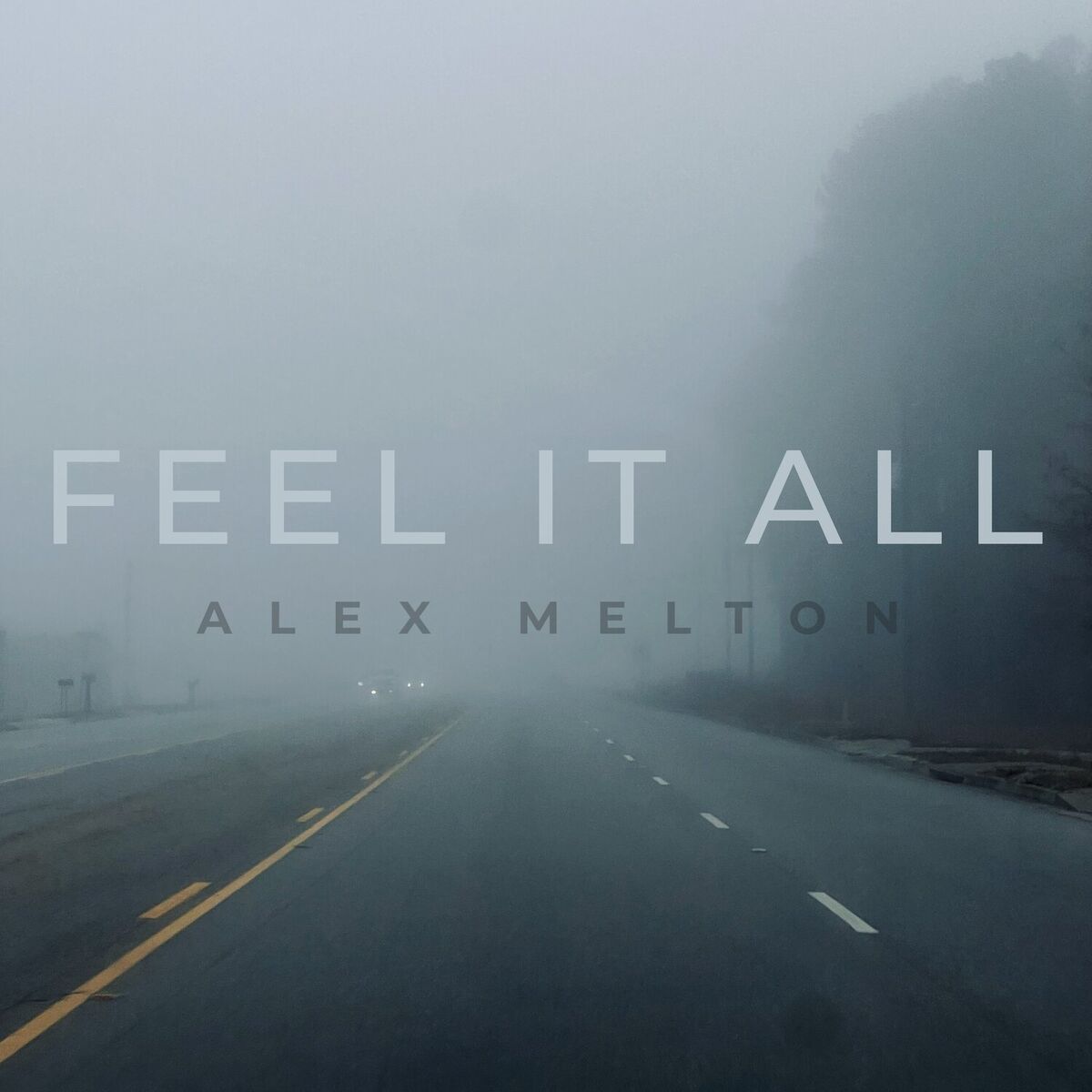 Album cover of Feel It All