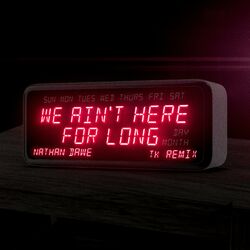 Cover of We Ain't Here For Long (TK Remix)