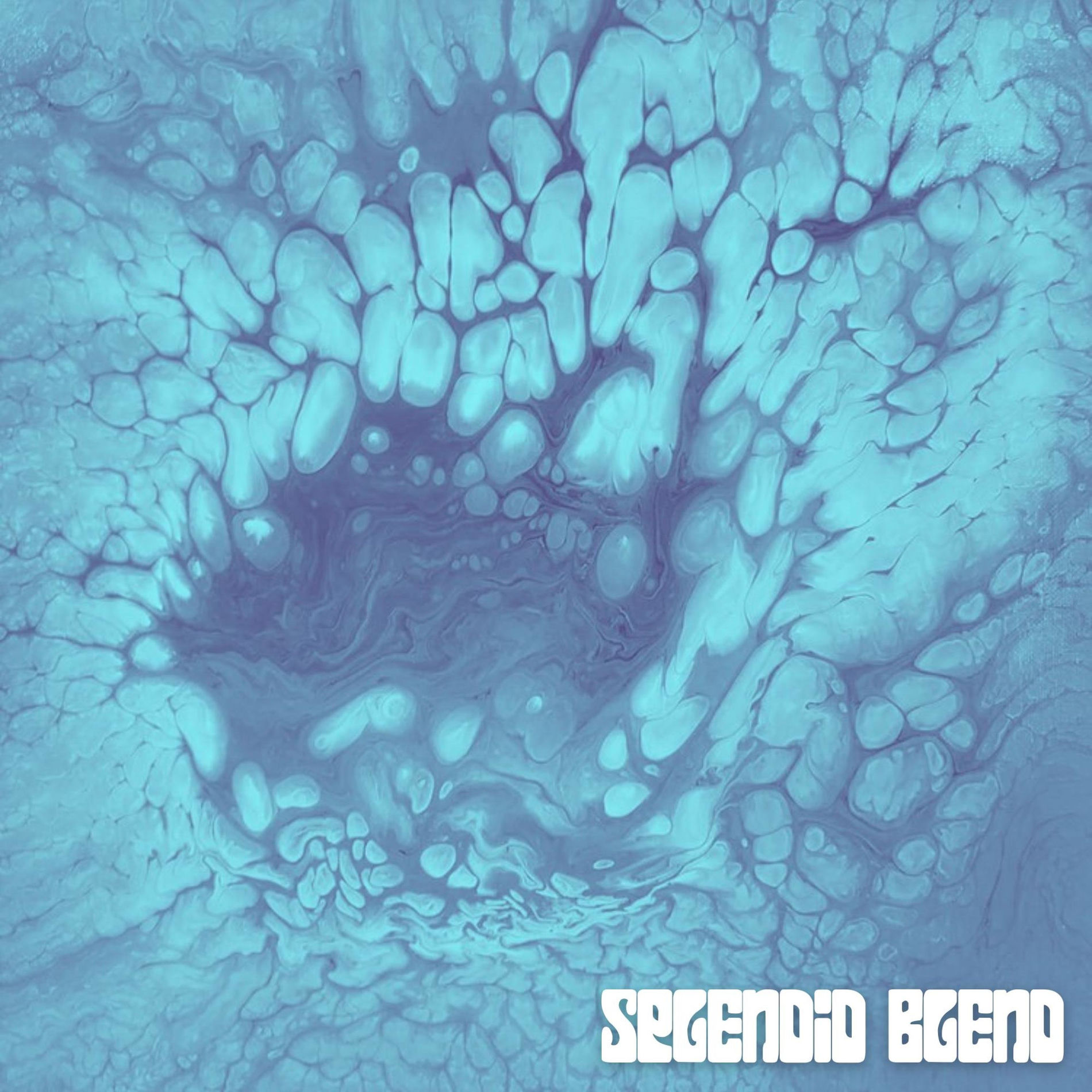 Album cover of Splendid Blend EP