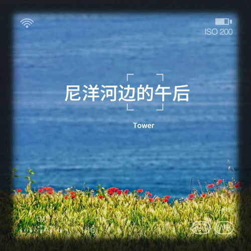 尼洋河水静静流淌(d小调,作品第41号)