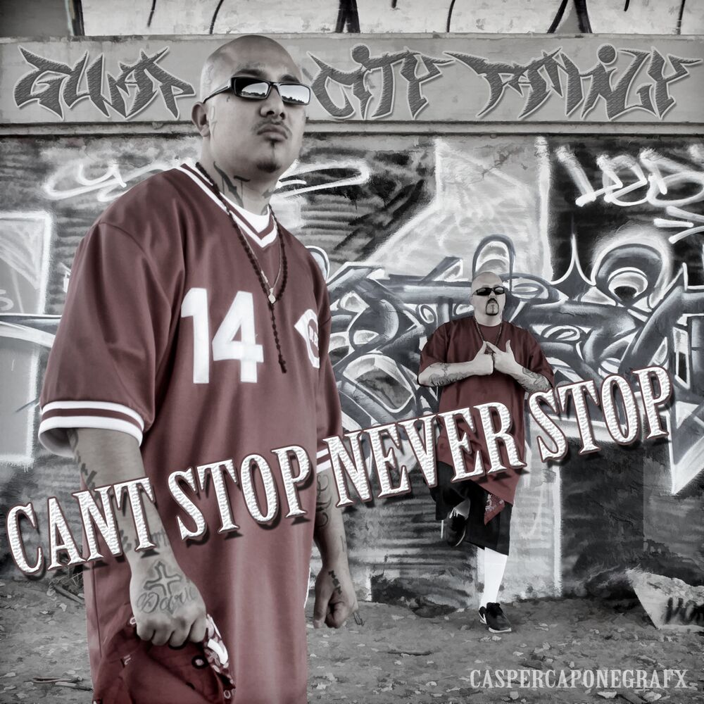 Picture of Can't Stop Never Stop