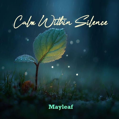 Calm Within Silence