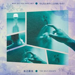 Cover of Why Do You Hate Me?