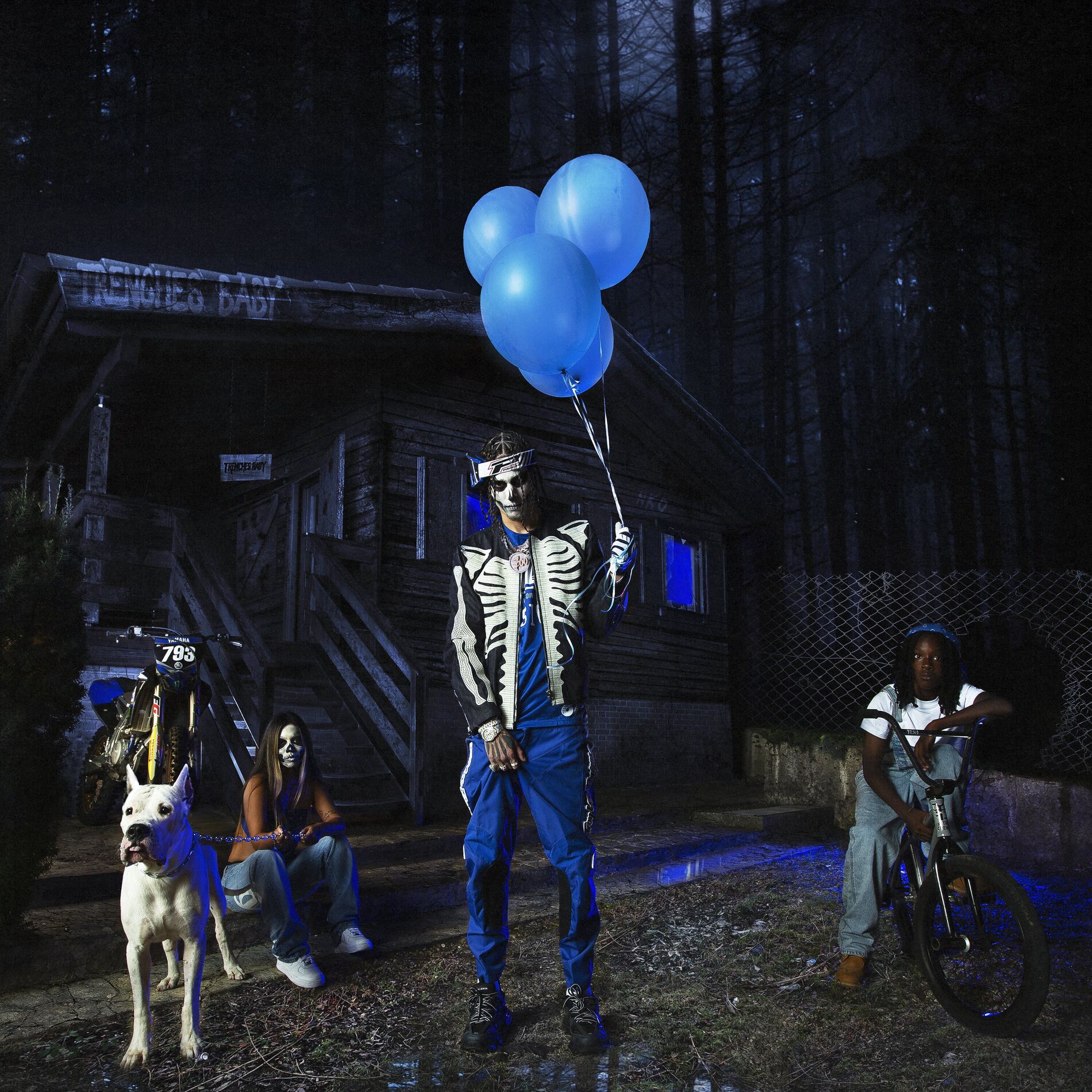 Album cover of TRENCHES BABY