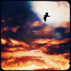 Cover of Airwaves