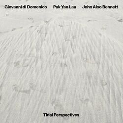 Cover of Tidal Perspectives