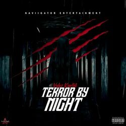 Cover of Terror by Night