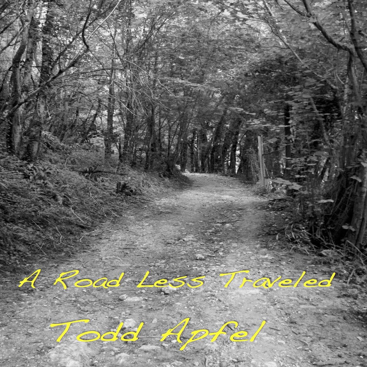Album cover of A Road Less Traveled
