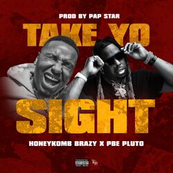 Cover of Take Yo Sight