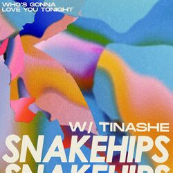 Cover of Who's Gonna Love You Tonight