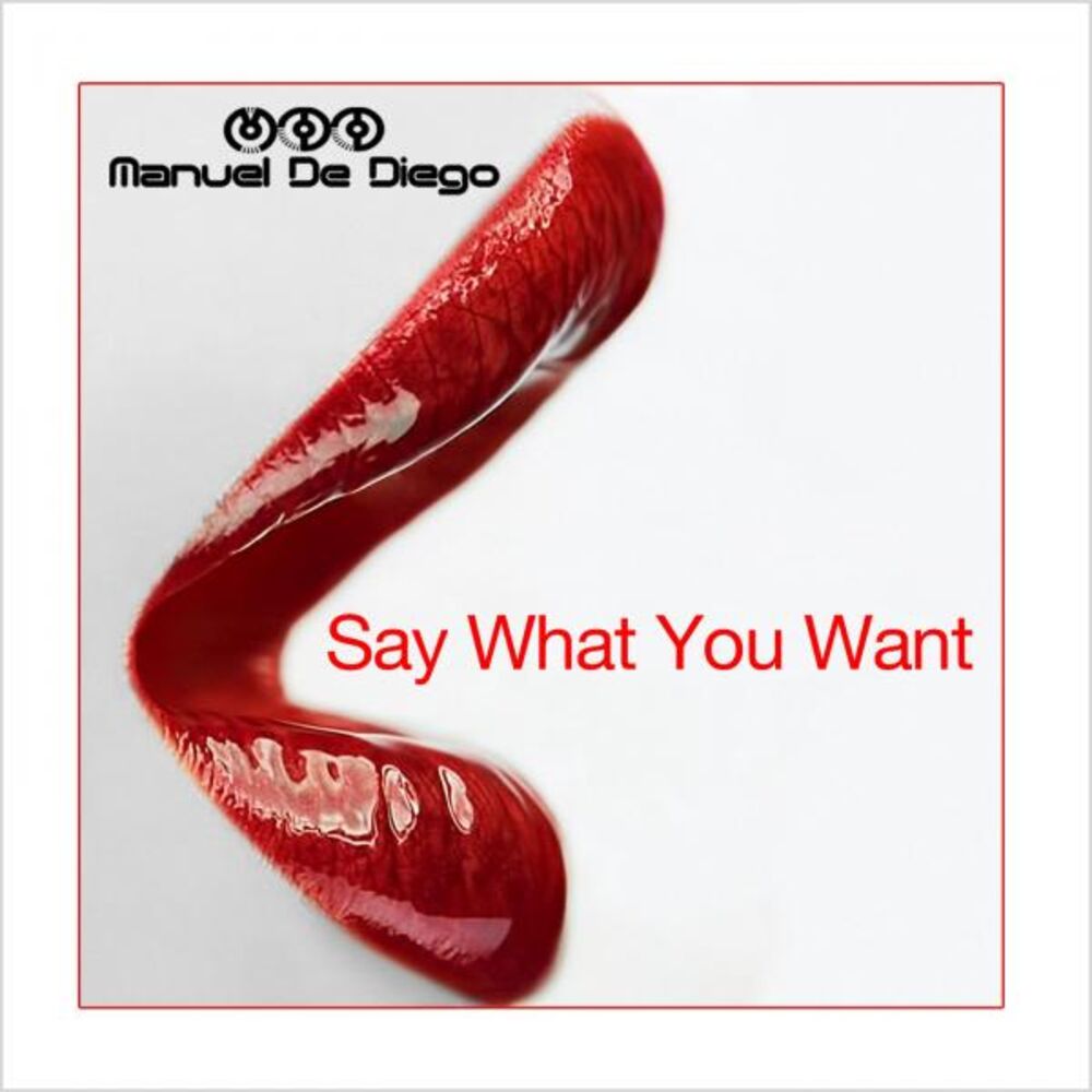 Picture of Say What You Want