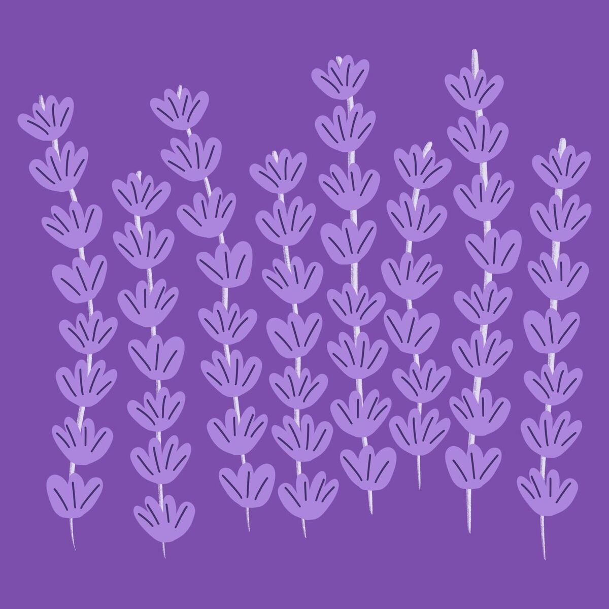 Album cover of Lavender