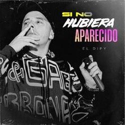 Cover of Si No Hubiera Aparecido