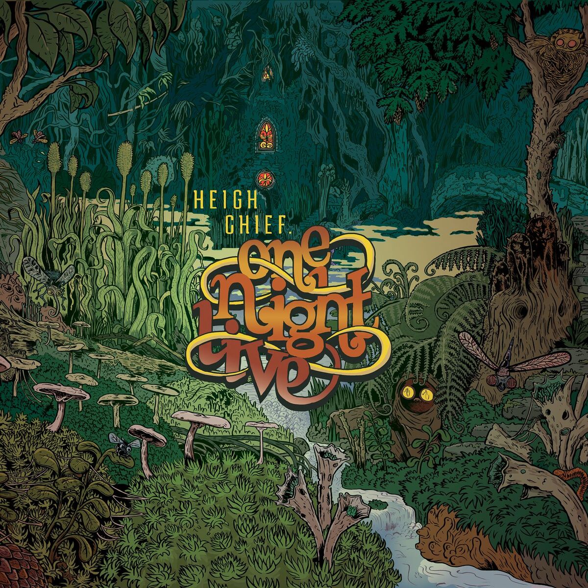 Album cover of One Night Live