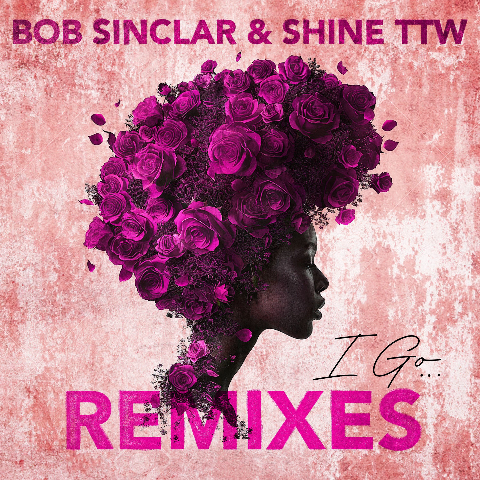 Album cover of I Go Remixes