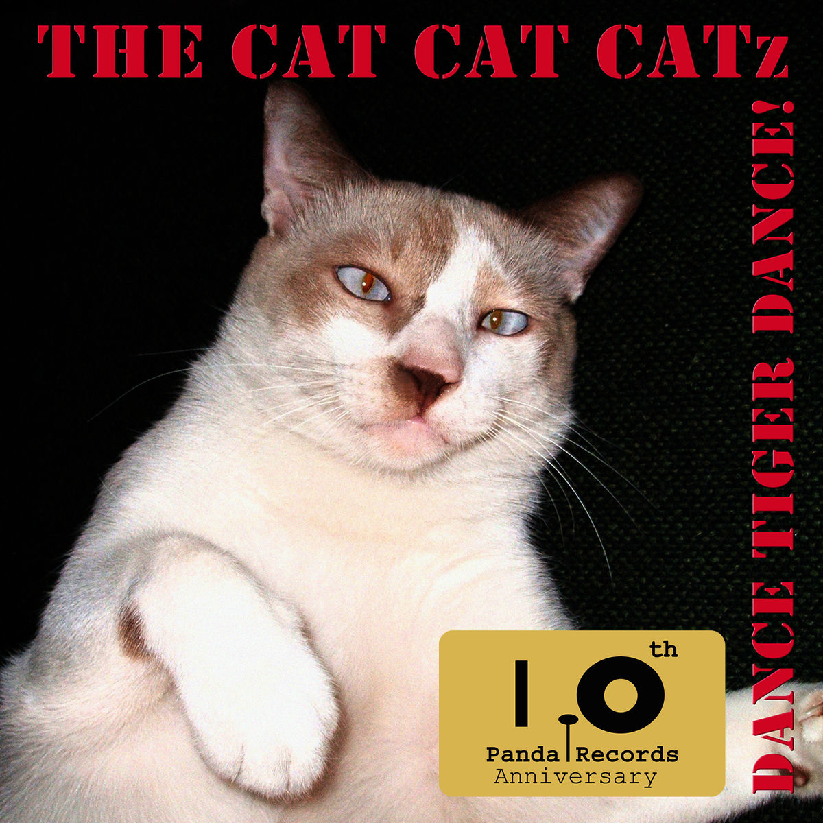 Album cover of Salsa Cubana Vol.13