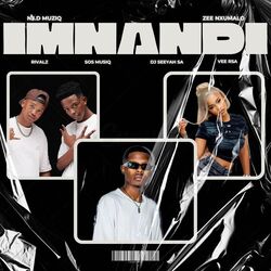 Cover of Imnandi