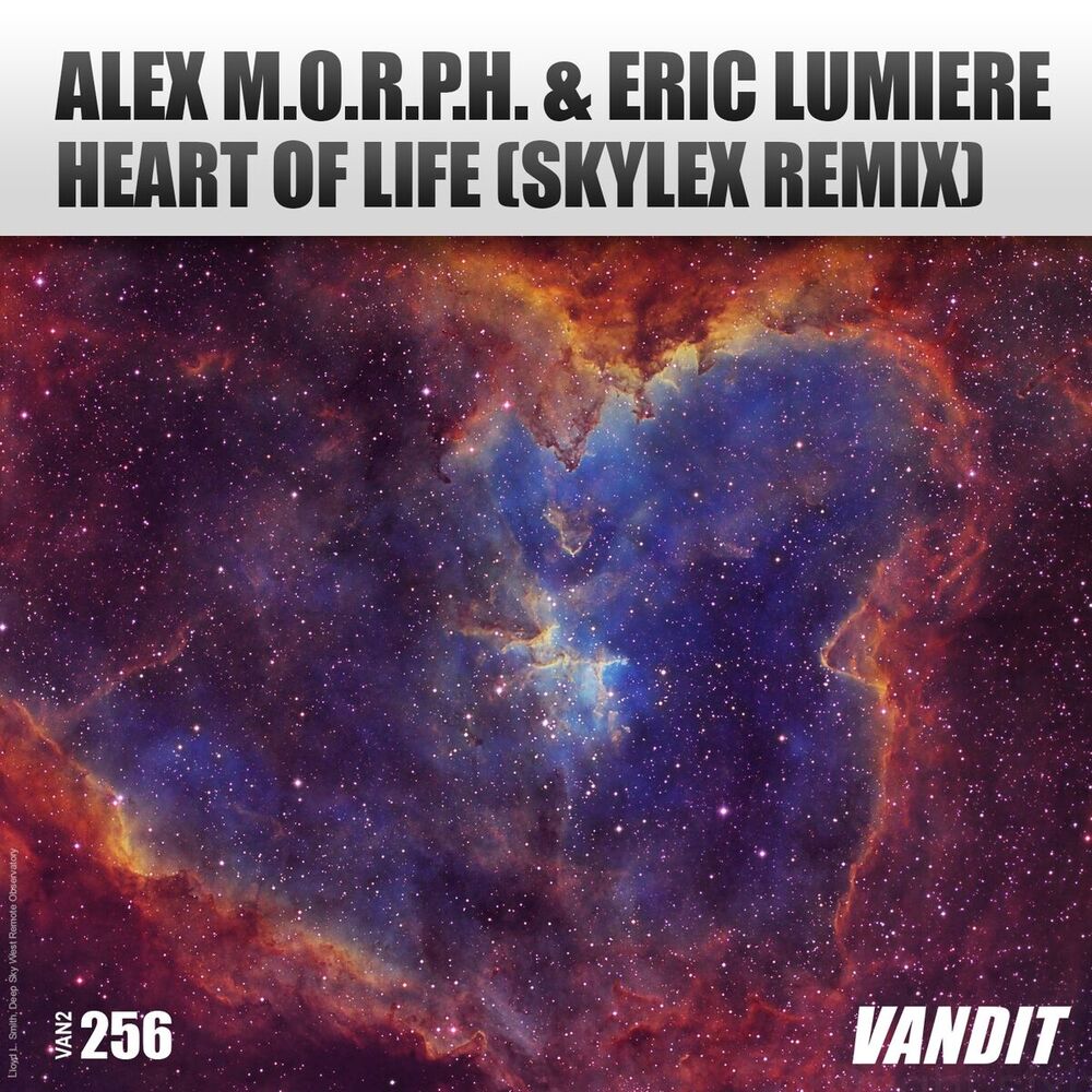 Picture of Heart of Life (Skylex Remix)