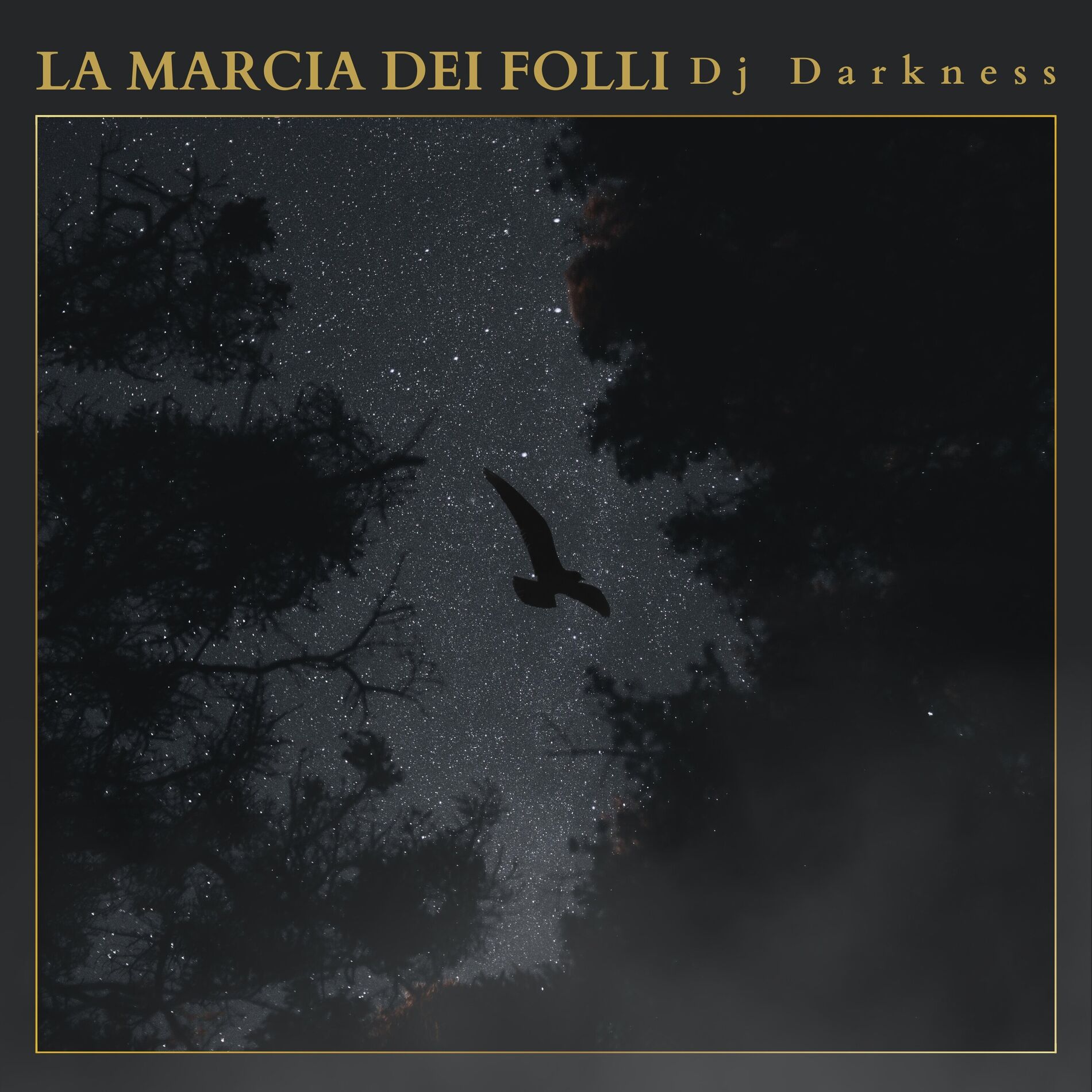 Album cover of LA MARCIA DEI FOLLI