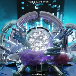 Cover of Can't Stop
