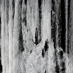 Cover of Point Of No Return