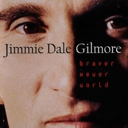 Cover of Braver Newer World