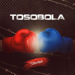 Cover of Tosobola