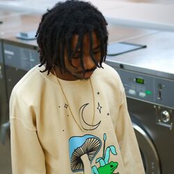 Cover of 22
