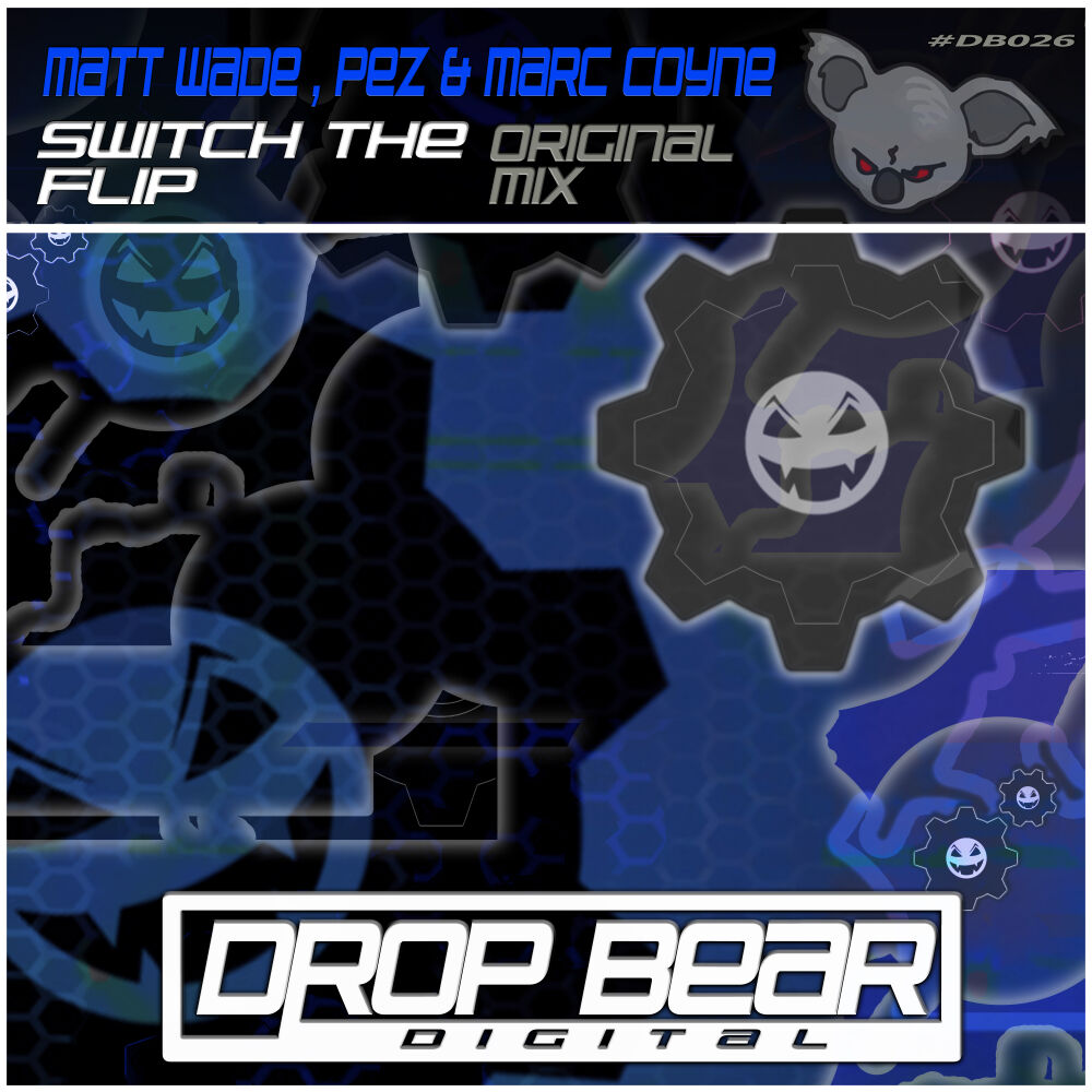 Picture of Switch The Flip
