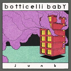 Cover of Junk