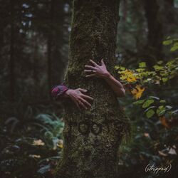 Cover of roots (Stripped)