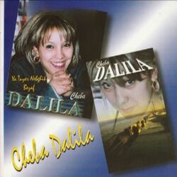 Cover of Cheba Dalila - Ya Tayer Nebghik Bezef