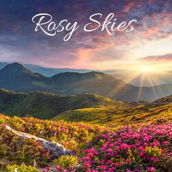 Cover of Rosy Skies