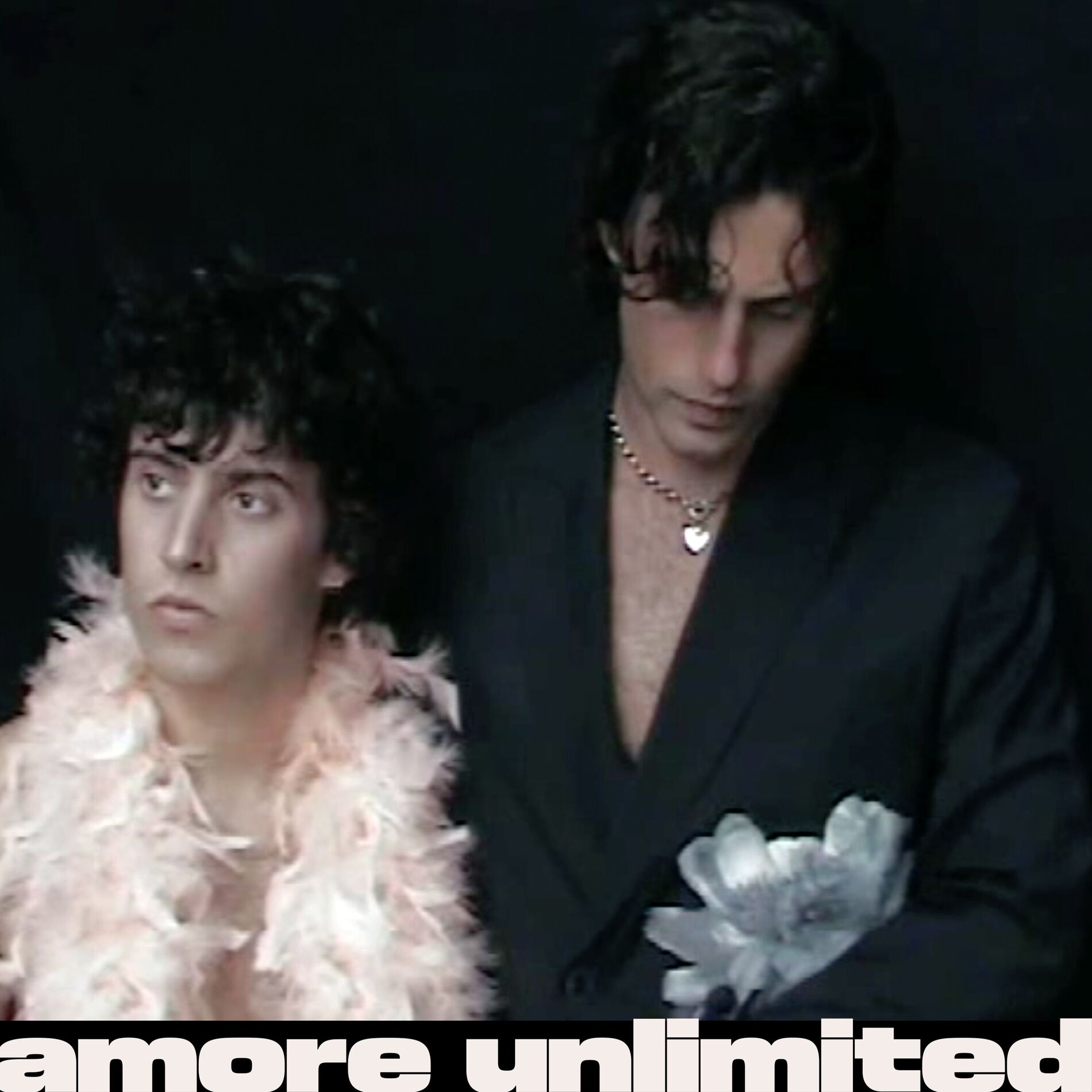 Album cover of amore unlimited