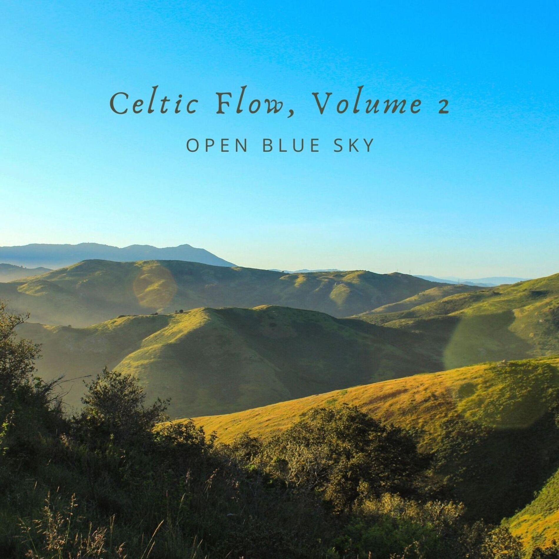 Album cover of The Ash Grove Arr. for Harp