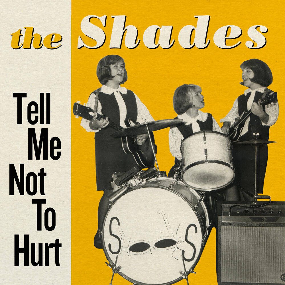 Picture of Tell Me Not to Hurt