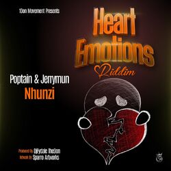 Cover of Nhunzi