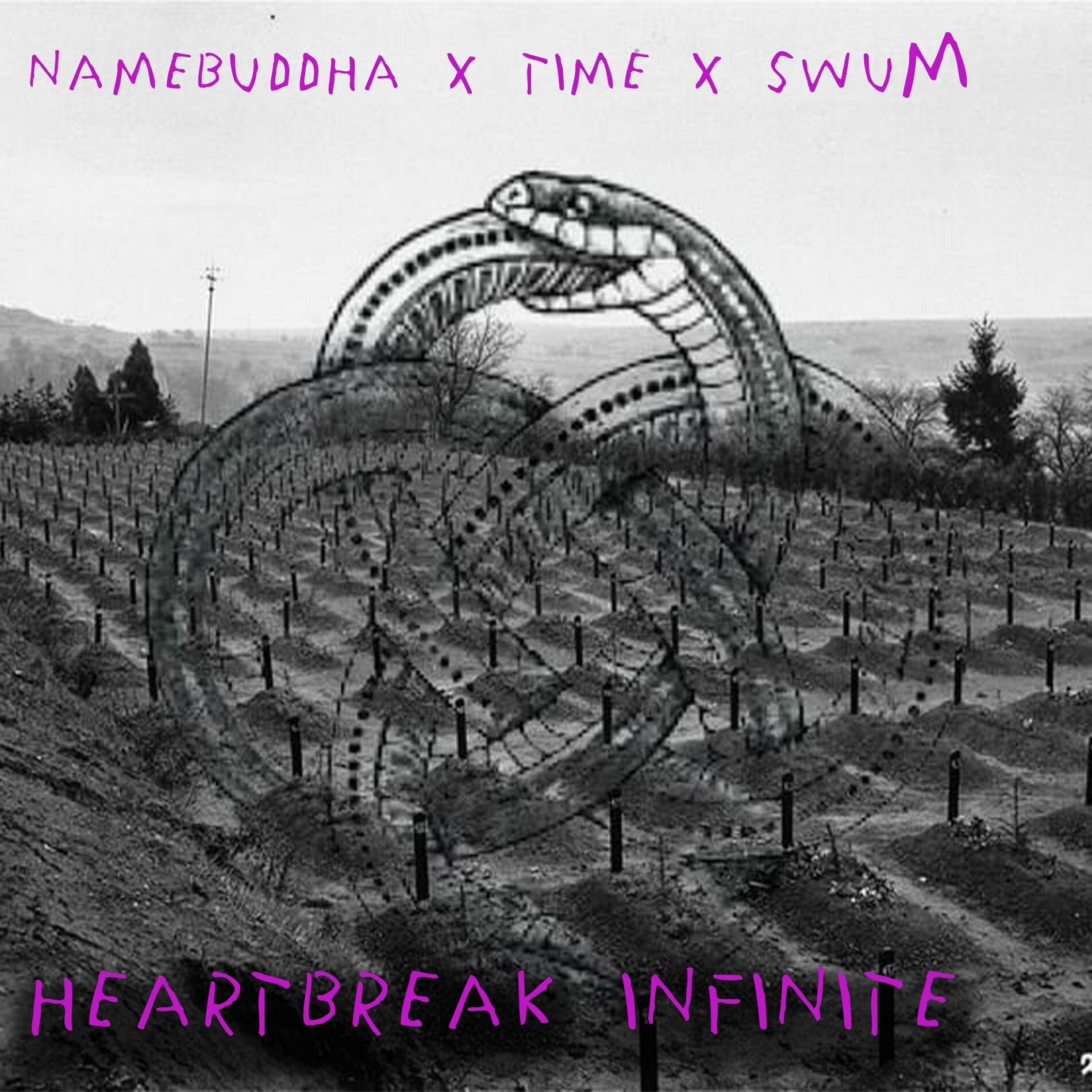 Album cover of Heartbreak Infinite (feat. SwuM)