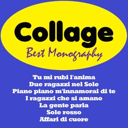 Cover of Best Monography
